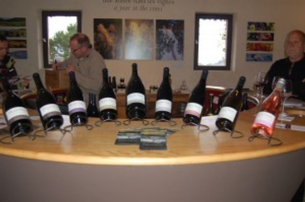 Row of wine bottles displayed on table