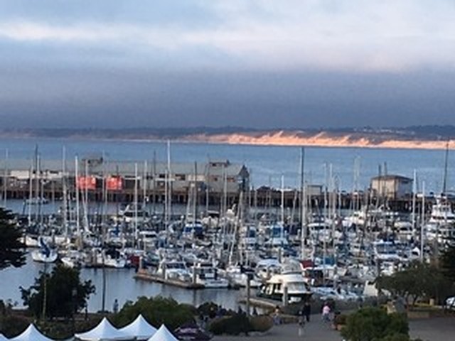 Monterey Harbor filled with rows and rows of boats