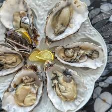 Oyster Event - Guest